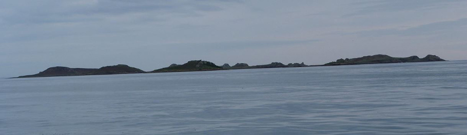 Остров Сент-Марттинс-самый северный остров архипелага Силли.